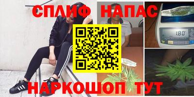 индика Апшеронск