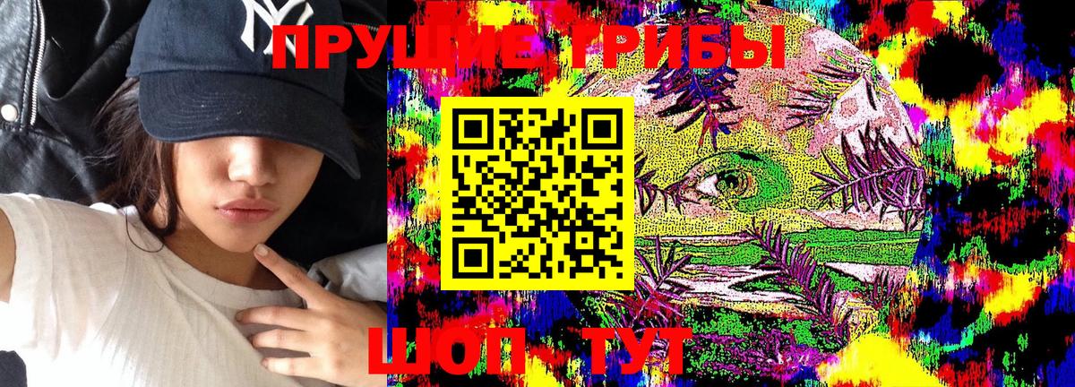 Псилоцибиновые грибы MAGIC MUSHROOMS  Вход с VPN  Псилоцибиновые грибы Psilocybine cubensis  Апрелевка 